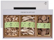 [노인과바다] 행복버섯9호